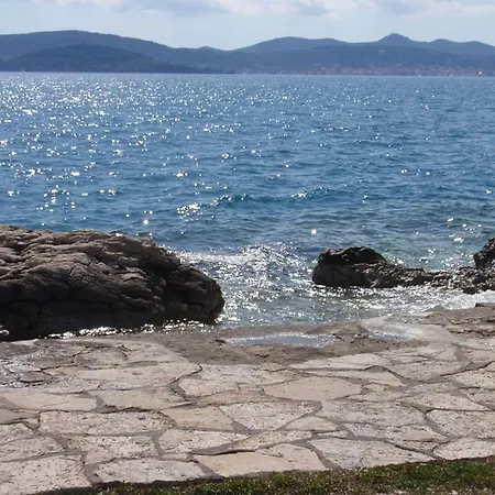 Vera Zadar