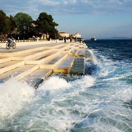 Vera * Zadar