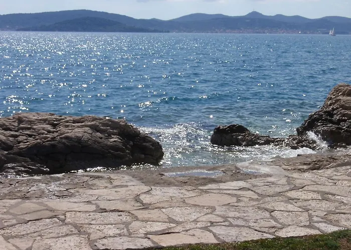 Vera Zadar