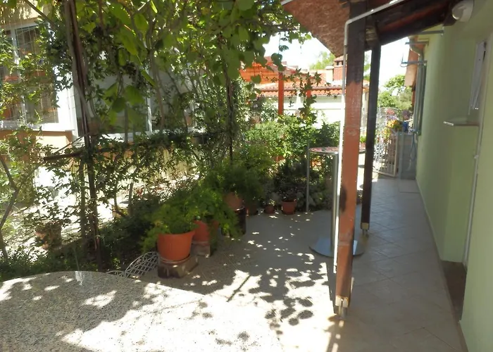 Vera Apartamento Zadar
