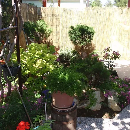 アパート Vera ザダル